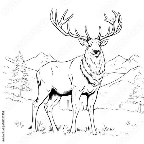stag with antlers