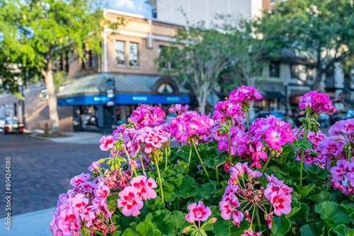 Winter Park, FL © mark