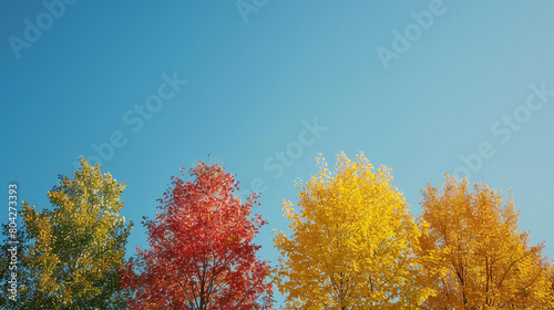 Autumn Glory with Colorful Trees and Blue Sky 