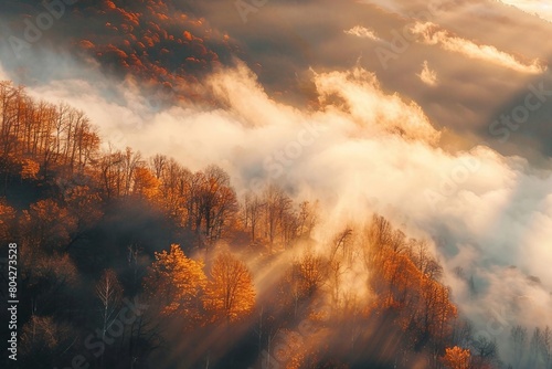 Aerial view of mountain forest in low clouds at sunrise in autumn. Hills with red and orange trees in fog in fall. Beautiful landscape with mountain, foggy forest, sunbeams. generative ai.