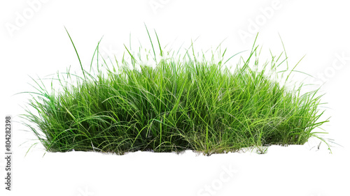 Fresh green grass isolated on transparent png background.