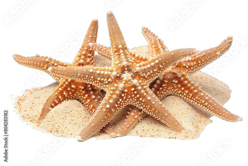 Three starfish on white sand in isolated on transparent background