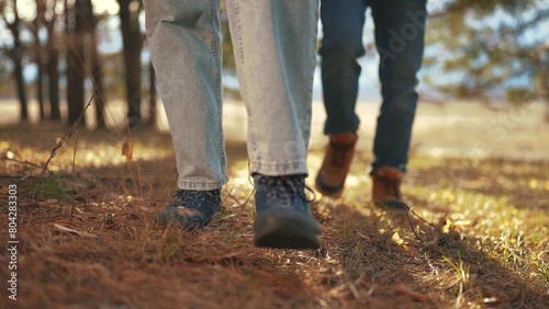 two tourists are traveling. active tourism and travel around the world concept. two tourists traveling together on foot walking through the Pine forest, lifestyle legs close-up