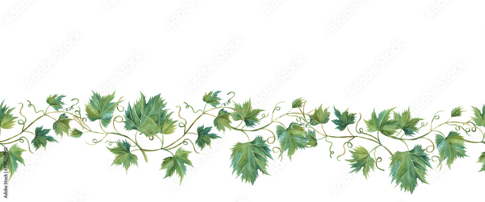 Naklejka premium Seamless border of grapevine leaves. Banner of vine. Isolated watercolor illustrations for wine label design, grape juice, cosmetics, wedding cards, stationery, greetings card, menu, cafe, winery