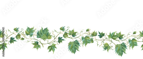 Seamless border of grapevine leaves. Banner of vine. Isolated watercolor illustrations for wine label design, grape juice, cosmetics, wedding cards, stationery, greetings card, menu, cafe, winery photo