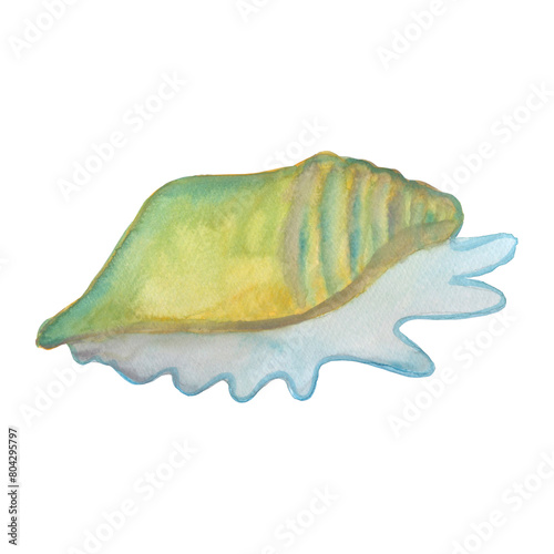 lambis millepeda sea ocean shell composition watercolor illustration isolated on white background base for printing on textile tableware postcards.