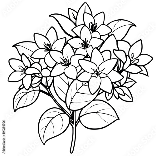 Jasmine Flower Bouquet outline illustration coloring book page design, Jasmine Flower Bouquet black and white line art drawing coloring book pages for children and adults