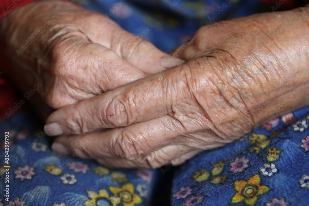 Fototapeta premium Hands of the elderly woman. Old woman hands in color
