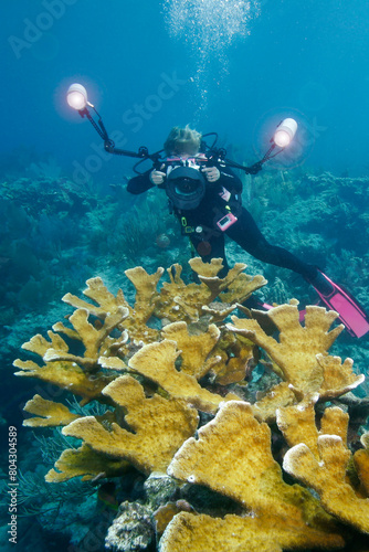 Underwater photographer, Elkhorn Coral, Molasses Reef, Key Largo photo