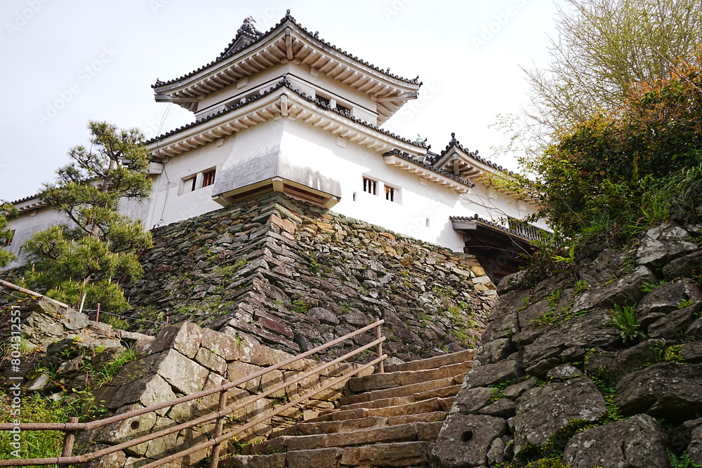 Wakayama-jo Castle with Spring Cherry Blossom in Wakayama, Japan - 日本 和歌山県 春の和歌山城 Wakayama-jo Castle with Spring Cherry Blossom in Wakayama, Japan - 日本 和歌山県 春の和歌山城