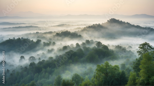 Aerial view of misty forest at morning 