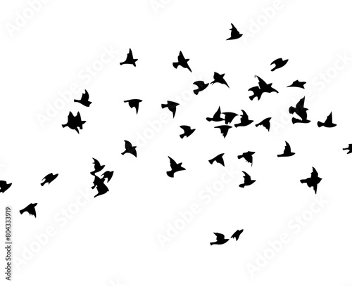 Flying birds silhouette flock. hand drawing. Not AI  Vector illustration