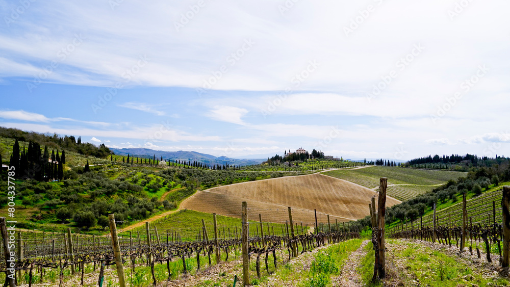 Panorama primaverile delle colline della val d'orcia,Radda in Chianti,Siena,Toscana,Italia  