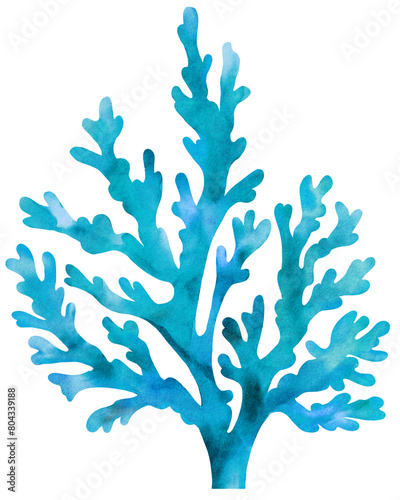 Underwater seaweed watercolor. Blue Coral isolated on white background