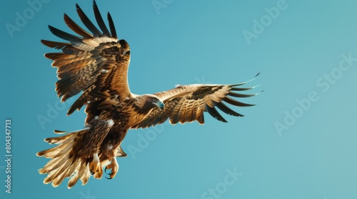 Action shot of a griffin swooping down to capture prey, dynamic pose, against a clean blue background