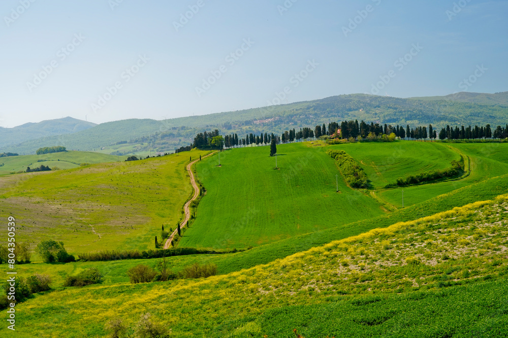 Fototapeta premium Panorama delle colline di Lajatico, terra natale di Andrea Bocelli presidente del Teatro del Silenzio, parco tematico musicale. ,provincia di pisa,toscana,italia
