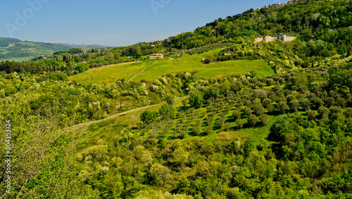 Sacro Monte o Gerusalemme di San Vivaldo,provincia di Firenze,Toscana,Italia photo