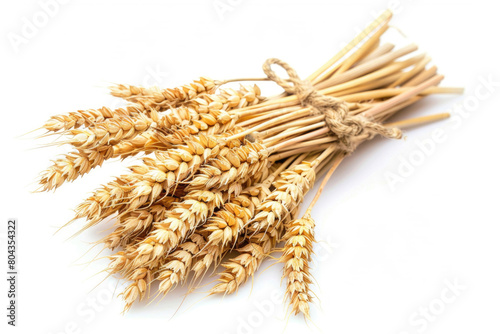 Wheat ears, golden harvest