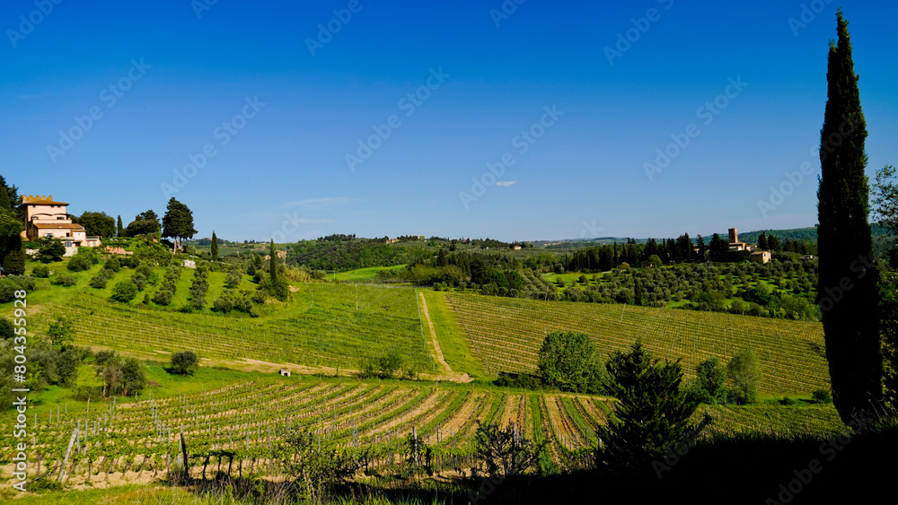 Panorama delle colline e delle balze vicino al borgo medievale fortificato di Certaldo.Provincia di Firenze,Toscna,Italia