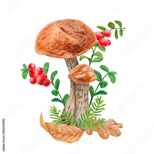 Wild mushroom, dry leaves, red berries, moss watercolor handdrawn botanical realistic illustration. Forest boletus, cranberry branch clip art for printing on fabric, card, invitation, menu, farm print