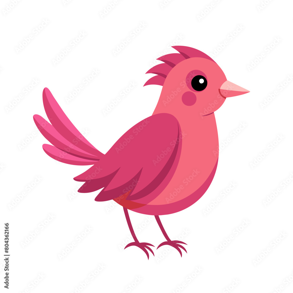 cute funny pink bird art drawn on white cute funny pink bird art drawn on white