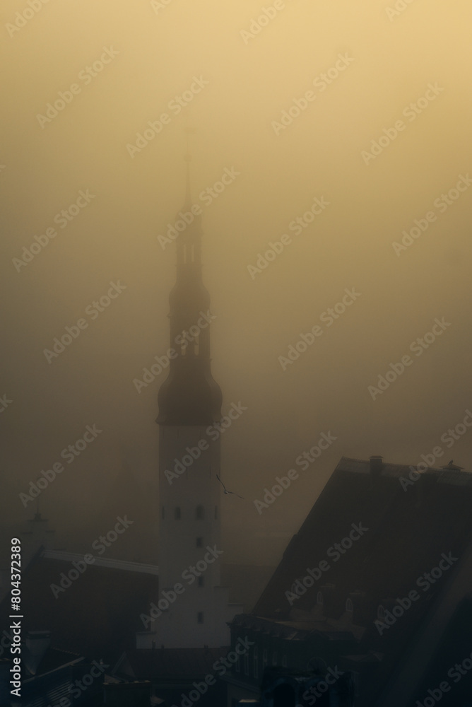 Foggy Weather in Tallinn's Old Town: Medieval Architecture