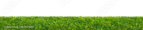 green grass field isolated on transparent background, png © andreusK