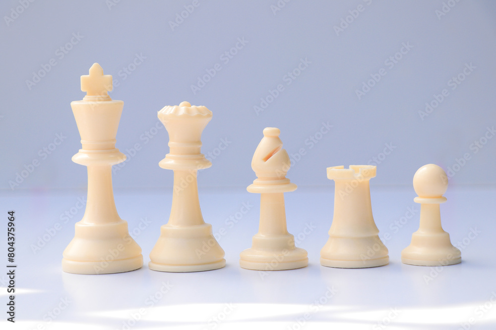 White Chess Pieces in Focus White Chess Pieces in Focus