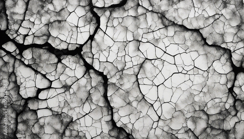 black and white cracked enamel texture, crackle art background 