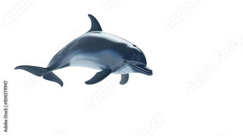 Isolated dolphin isolated on white background.