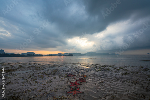 stunning sky in sunrise above the vast sea.Red starfish feeds on sea grass. bright orange starfish Move slowly on the sand.Starfish live along the sea grass. cloud moving above the vast sea