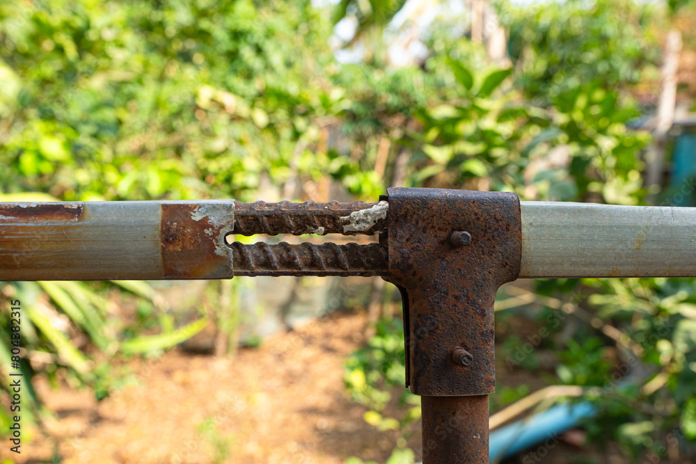 Rusty watering can sits in a lush garden Rusty watering can sits in a lush garden