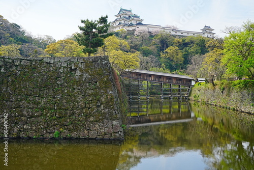 Wakayama-jo Castle with Spring Cherry Blossom in Wakayama, Japan - 日本 和歌山県 春の和歌山城