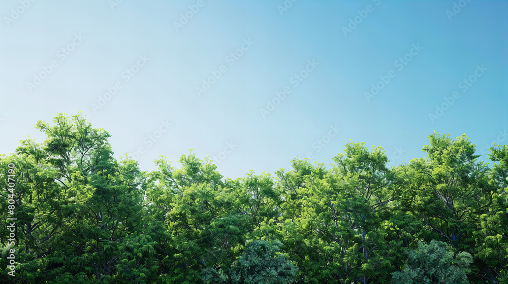 sky, tree, nature, landscape, forest, green, clouds, summer, trees, grass, blue, cloud, field, day, park, hill, environment, outdoors, mountain, spring, countryside, meadow, nobody, pine, scenery sky, tree, nature, landscape, forest, green, clouds, summer, trees, grass, blue, cloud, field, day, park, hill, environment, outdoors, mountain, spring, countryside, meadow, nobody, pine, scenery