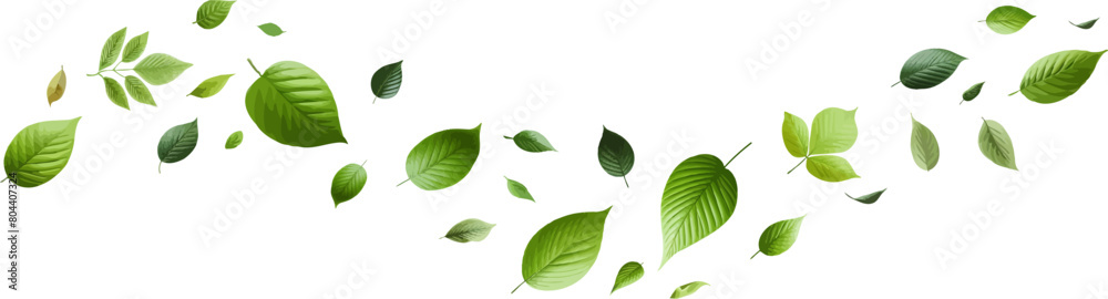 Green flying leaves seamless border. Green leaves wave .Falling fresh leaf . Foliage green leaves ornament . Elements for eco friendly,bio,vegan logo .Realistic green leaf . Green flying leaves seamless border. Green leaves wave .Falling fresh leaf . Foliage green leaves ornament . Elements for eco friendly,bio,vegan logo .Realistic green leaf .
