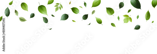 Green flying leaves seamless border. Green leaves wave .Falling fresh leaf . Foliage green leaves ornament . Elements for eco friendly,bio,vegan logo .Realistic green leaf .