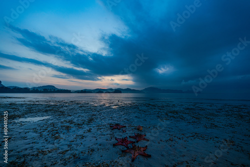 Abundant sea There is beautiful nature. In the quiet sea of Krabi Province.  Red starfish on the shore at sunrise. bright orange starfish Move slowly on the sand. islands background.