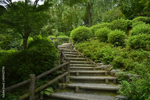 stone staircase in the garden