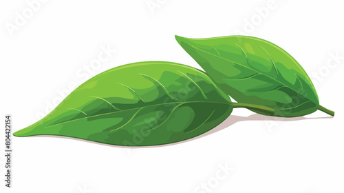 Pepper leaf on white background 2d flat cartoon vac photo