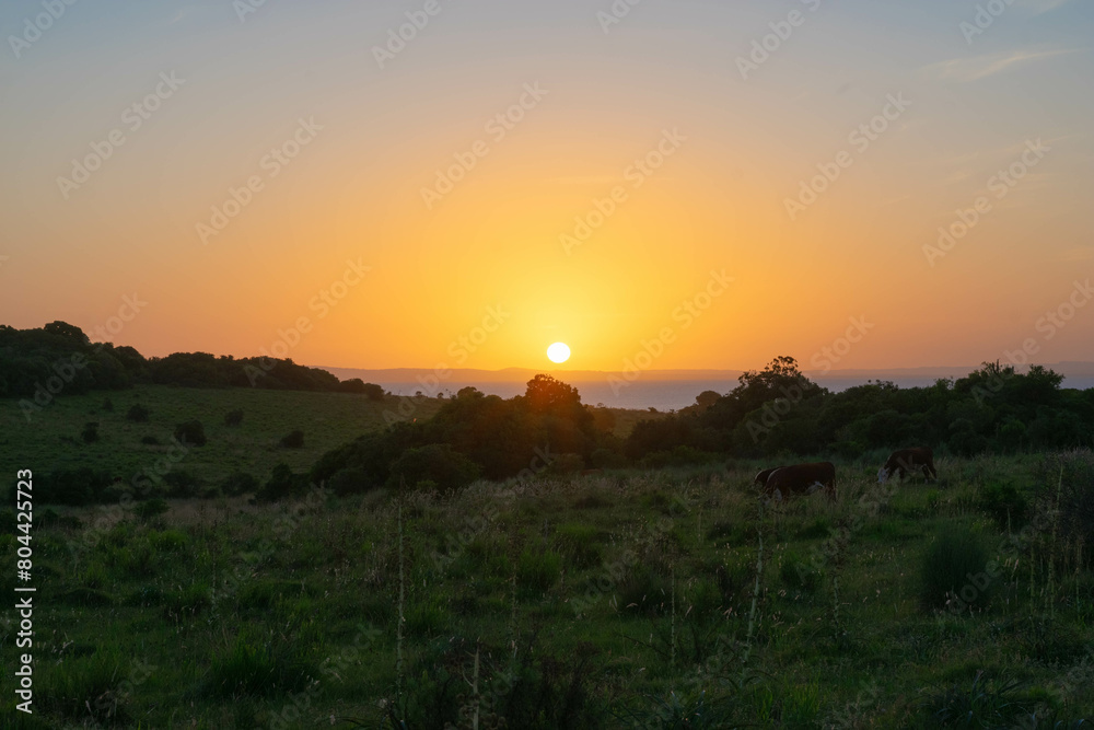 atardecer en el campo atardecer en el campo
