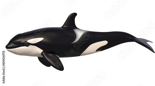 Orca killer whale isolated on transparent background  Generic AI