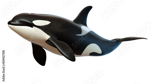 Orca killer whale isolated on transparent background  Generic AI