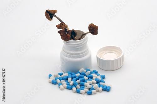 Psilocybin mushrooms next to regular medicine.