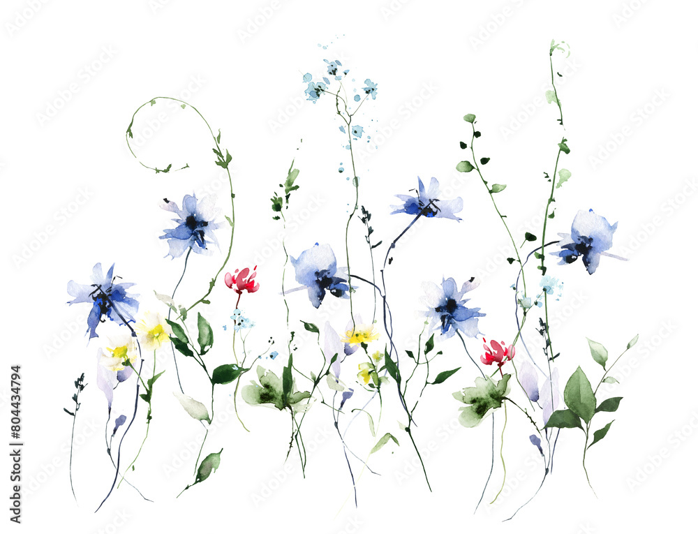 Watercolor floral border frame on white background. Red, blue wild flowers, branches, leaves and twigs.