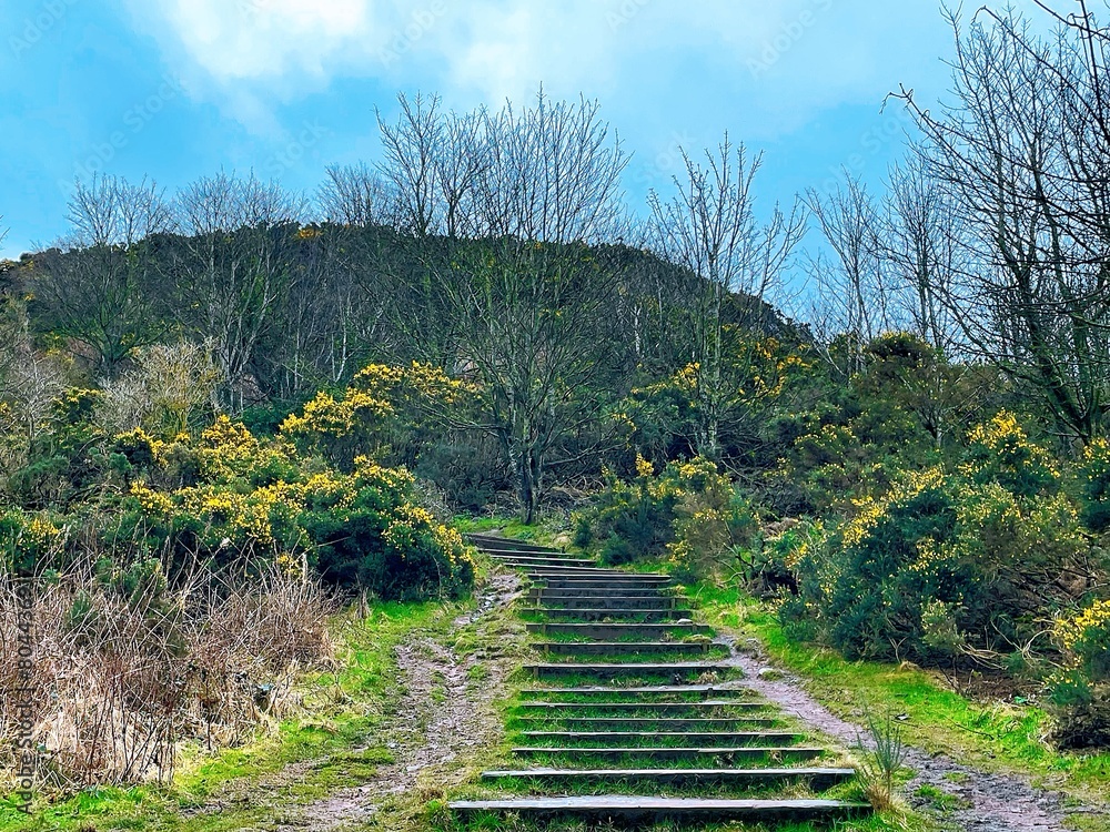 stairway to heaven - Braid & Blackford Hill