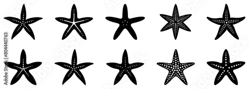 Set of starfish icons. Sea star fish marine life