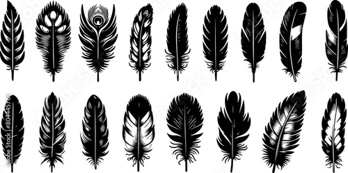 Set de plumes d'oiseaux, noir isolé