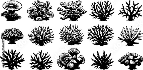 Corail sous marin, plantes, au trait et silhouette noir sur fond blan