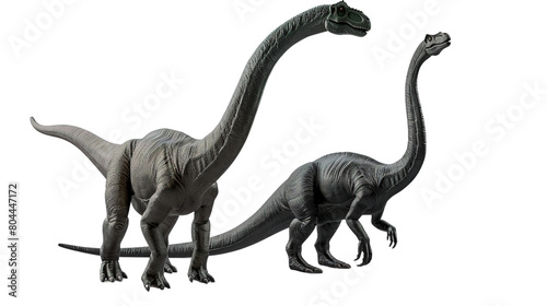 Brachiosaurus and Diplodocus isolated on white background. © Varunee