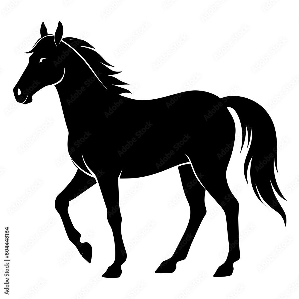 Obraz premium silhouette of a horse